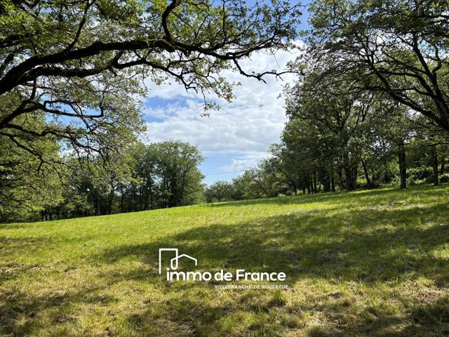 Terrain vente à Montauban, Parisot