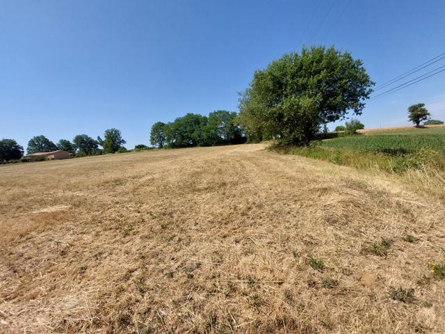 Terrain vente à Montauban, Parisot