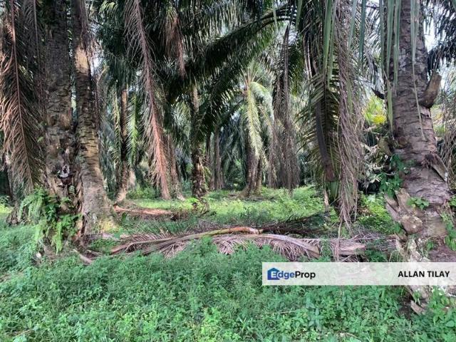 Shop for sale in Perak, Parit