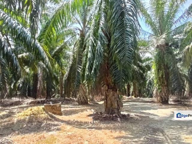 Shop for sale in Perak, Parit