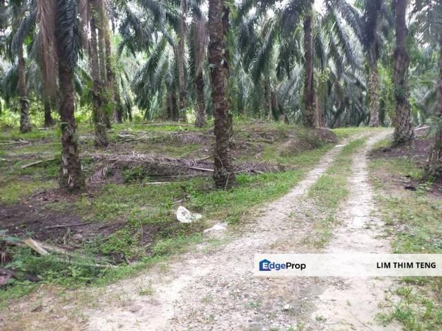 Shop for sale in Perak, Parit