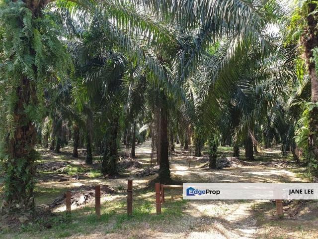 Shop for sale in Perak, Parit