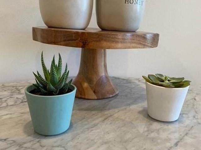 Apartment for rent in Hartford, Connecticut