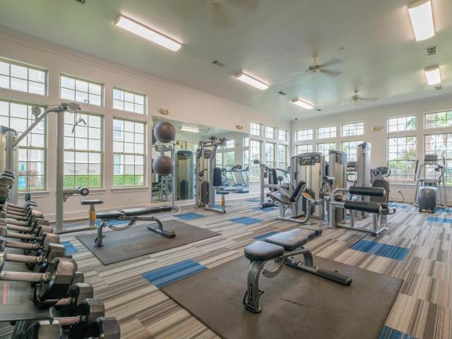 Apartment for rent in Magnolia, Montgomery County