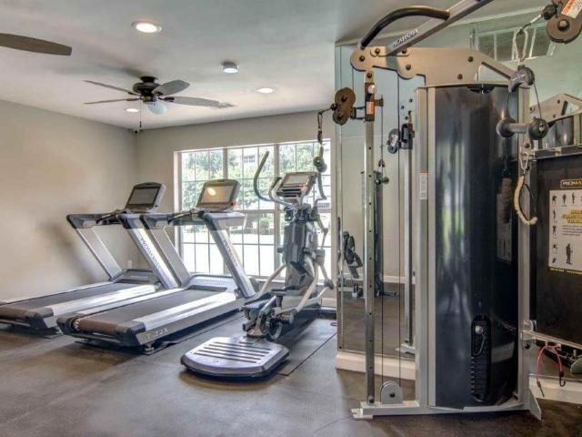 Apartment for rent in Clayton, Georgia