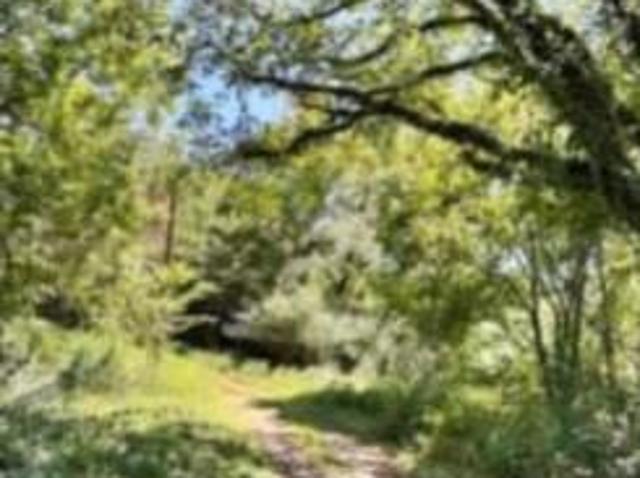 Land for sale in Hot Springs National Park, Arkansas