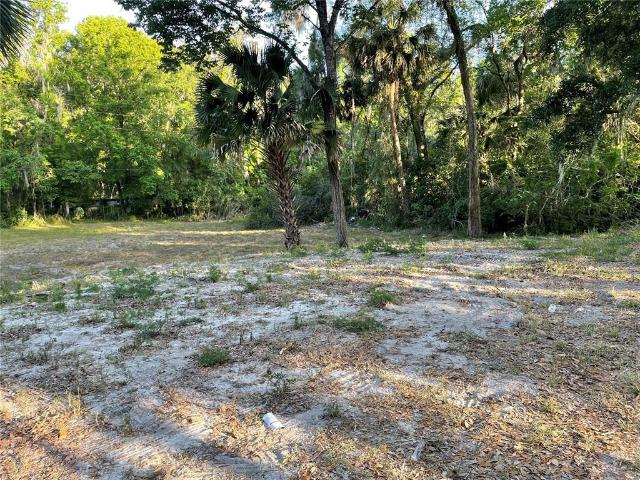 Land for sale in De Leon Springs, Florida