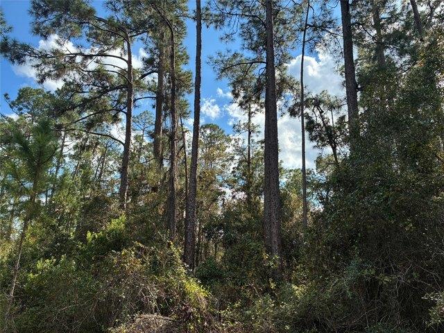 Land for sale in Indian Lake Estates, Florida