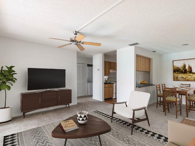 Apartment for rent in Tampa, Florida