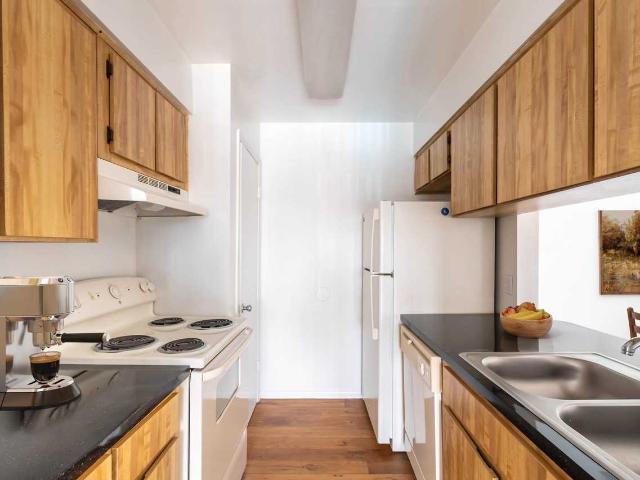 Apartment for rent in Tampa, Florida
