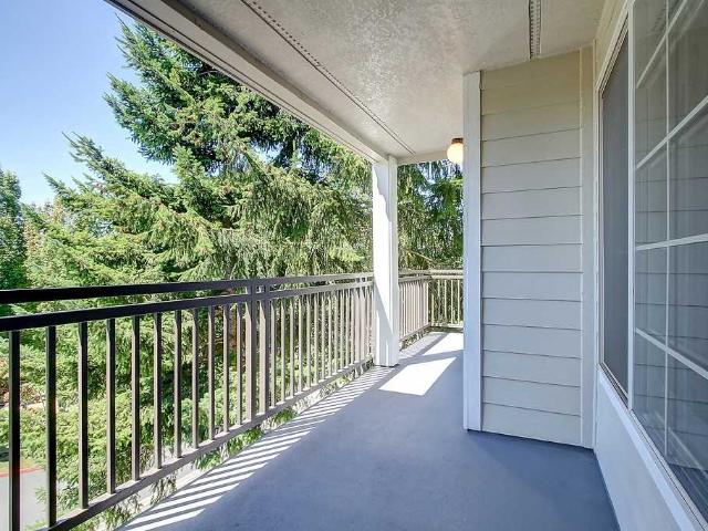 Apartment for rent in Bellevue, Washington