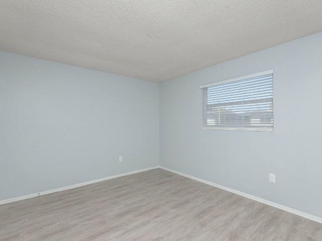 Apartment for rent in Saint Petersburg, Florida