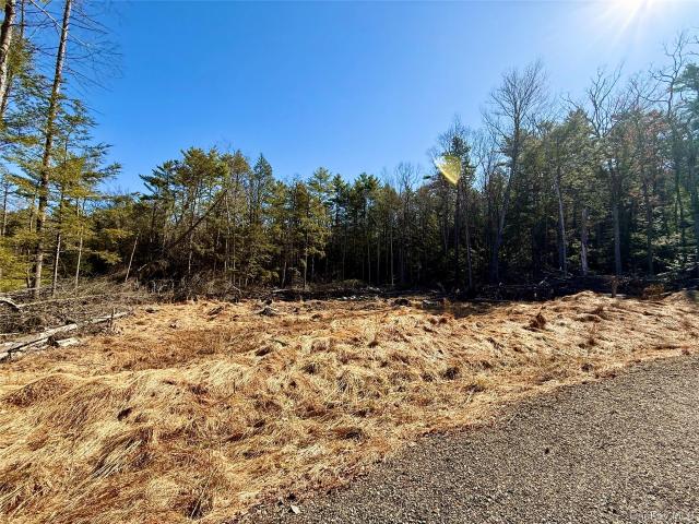 Land for sale in Yulan, New York