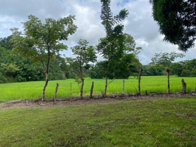 Terreno venta en Alanje