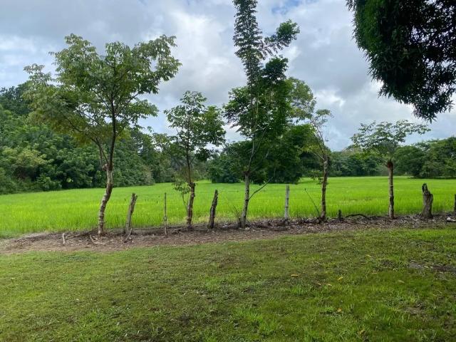 Terreno venta en Alanje