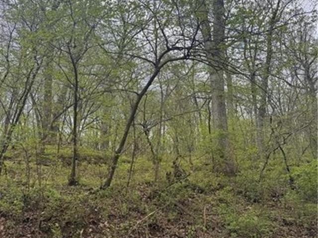 Land for sale in Missouri
