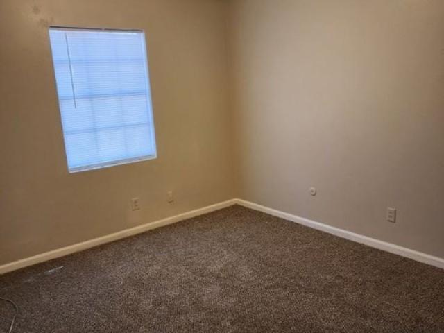 Apartment for rent in Forest Park
