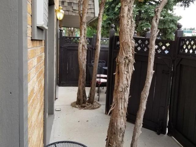 Apartment for rent in Boulder, Colorado