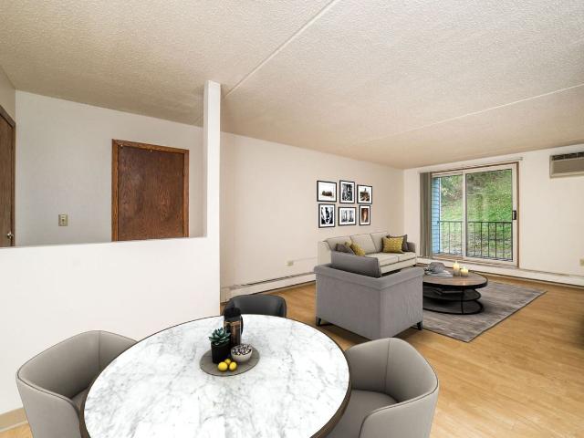 Apartment for rent in Minnesota