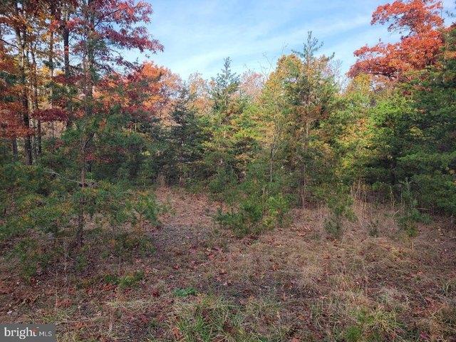 Land for sale in Paw Paw, West Virginia