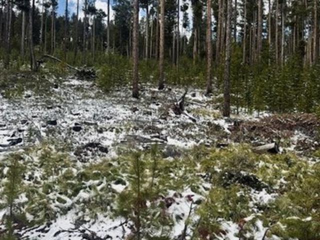 Land for sale in Granite, Montana