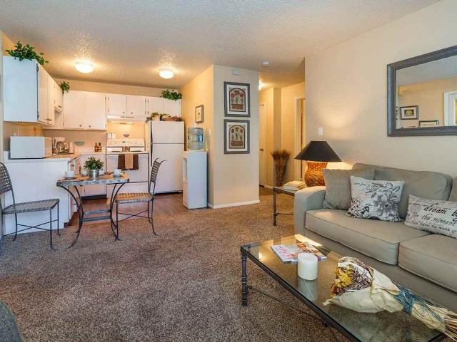 Apartment for rent in Colorado Springs, Colorado
