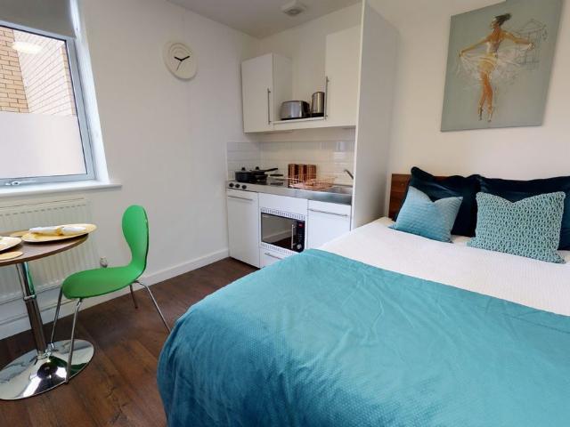 Studio for rent in Spring Park, Luton