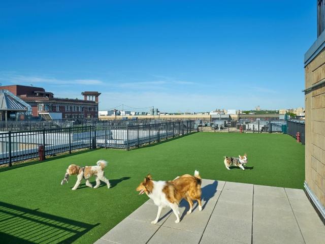 Apartment for rent in Washington, Washington DC