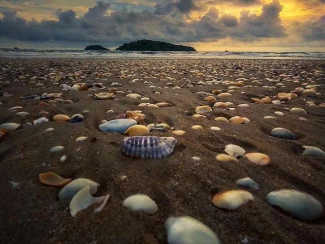 Land for rent in Rawalpindi, Islamabad Capital Territory