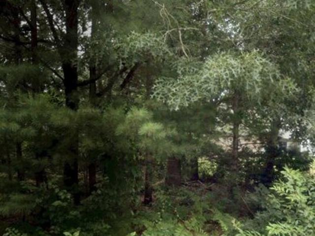 Land for sale in White Island Shores, Wareham