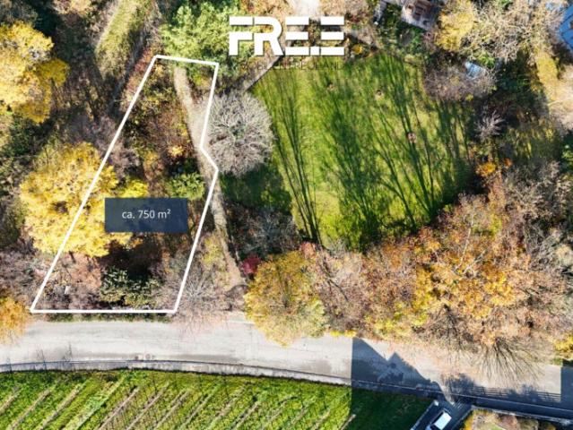 Grundstück kaufen in Fels am Wagram, Niederösterreich