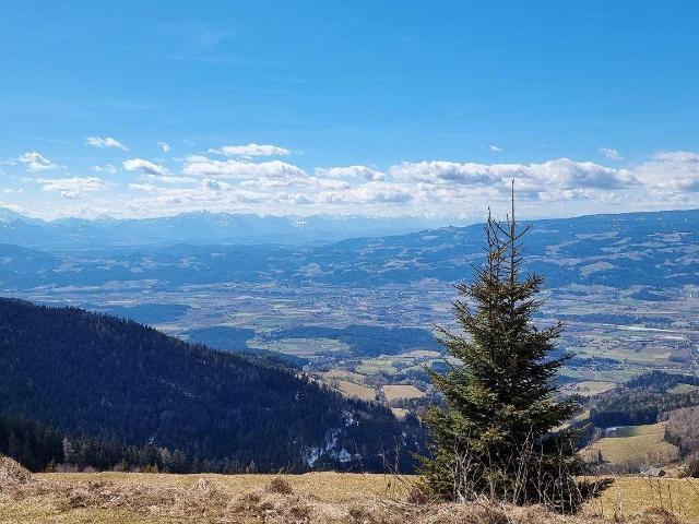 Immobilie kaufen in Weißenbach Rieding, Wolfsberg