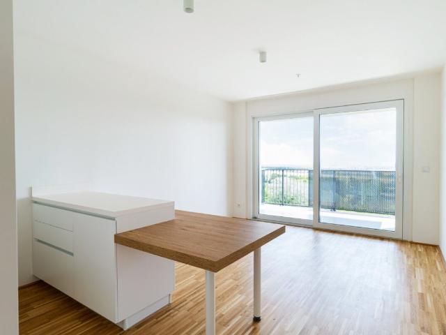 Apartment mieten in KG Oberlaa Stadt, Wien