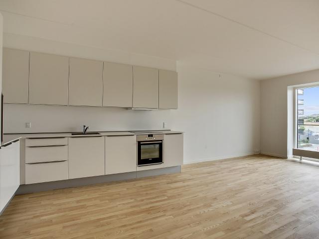 Hus til leje i Aalborg, Brønderslev-Dronninglund
