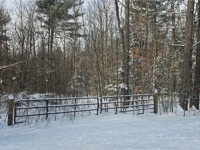Land for sale in Masonville, New York