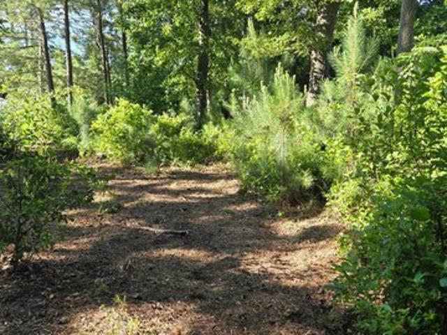 Land for sale in Delaware