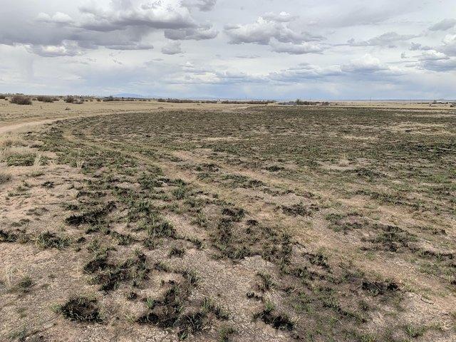 Land for sale in Moriarty, Torrance County