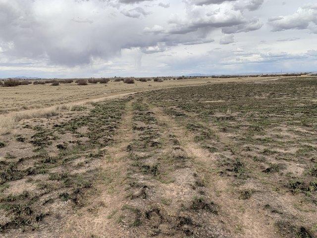 Land for sale in Moriarty, New Mexico