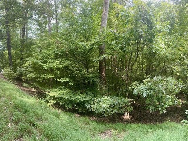 Land for sale in Eddyville, Lyon County