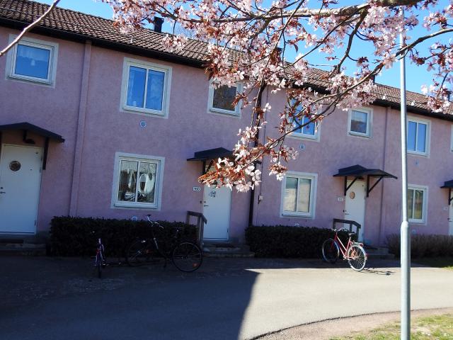 Lägenhet hyra i Mönsterås, Kalmar