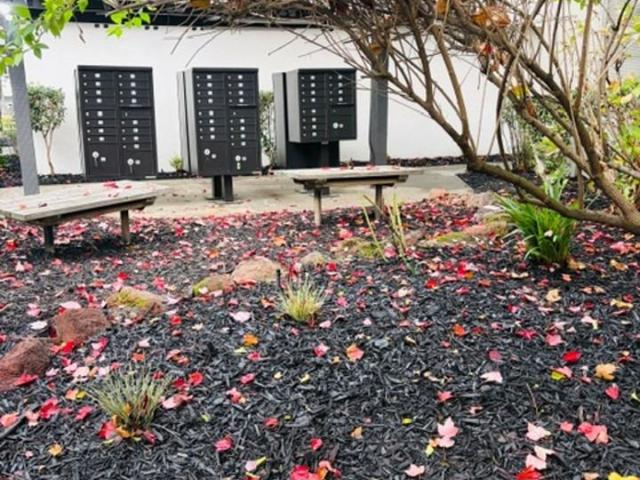 Apartment for rent in Sacramento, California