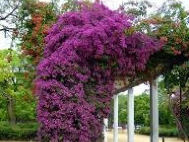 Garaje en alquiler en Nervión, Sevilla