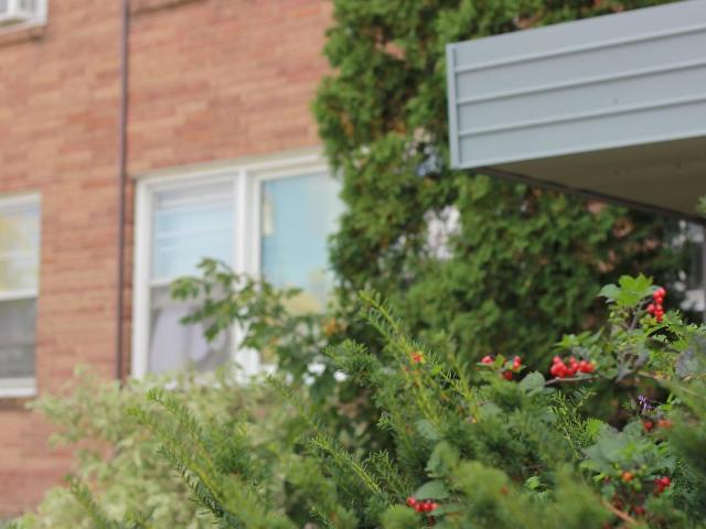 Apartment for rent in North End, Saint Paul