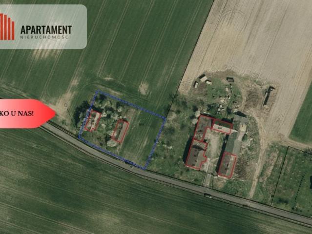 Grunt na sprzedaż w Pigża, Kujawsko-pomorskie