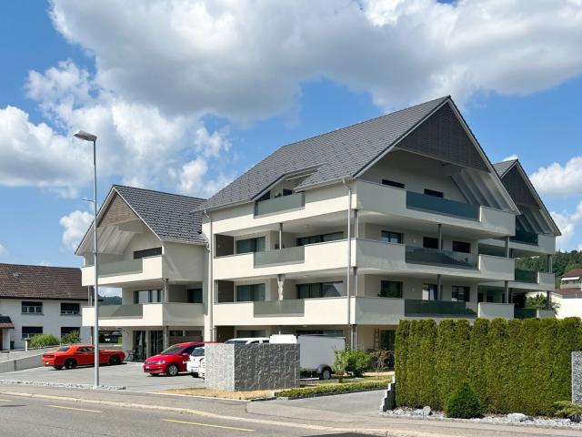 Immobilie kaufen in Meisterschwanden, Aargau