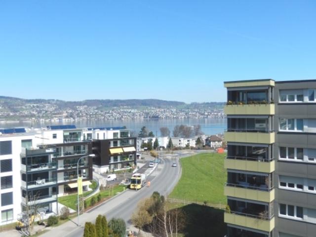 Garage mieten in Wädenswil, Zürich