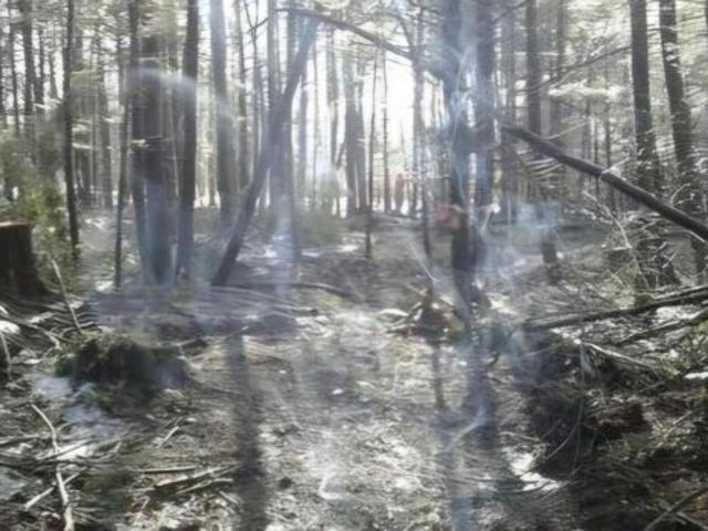 Land for sale in Claryville, New York