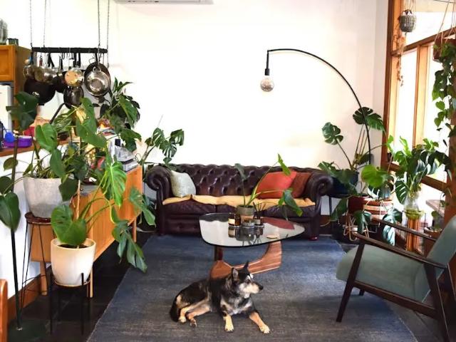 Room for rent in Parkside, Adelaide