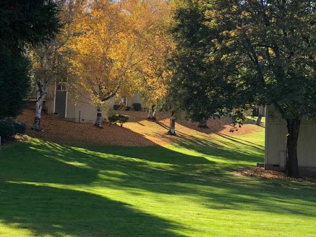 Apartment for rent in Oregonia