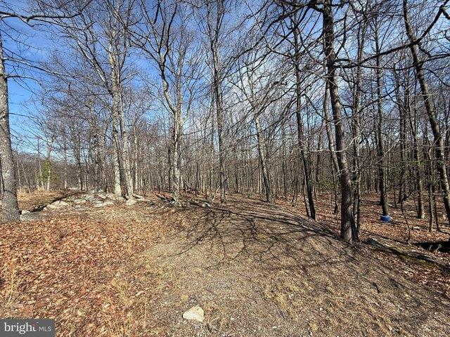 Land for sale in Berkeley Springs, West Virginia